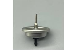 China Portable Lighter Gas Refill Valve for Travelers with Compact Design​ supplier