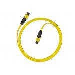 4core , 6core , 8core FTTH SM fiber patch cord with Insert connector for sale