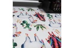 China Dye Sublimation Textile Digital Flatbed Inkjet Printer 1.85m supplier