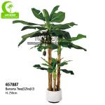 No Nursing 250cm High Artificial Tropical Tree For Shopping Center for sale