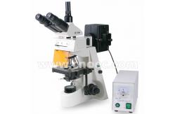 China Fluorescent Microscope Trinocular Head 40 - 1000X with CE A16.1103 supplier