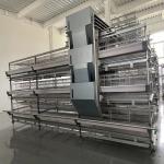 30000 Birds Hot Dip Galvanized Steel H Type Battery Cages For Broiler Chicken for sale
