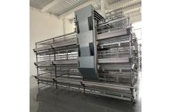 China Durable Large Battery Chicken Cage Easy To Clean Layer Galvanized Steel supplier