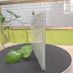 6mm 10mm polycarbonate sheet Clear Hollow for sale