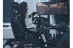 China Ergonomic 15Nm Motion Sim Racing Rig For PC Game supplier