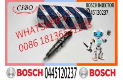 China Diesel Fuel Injector 0445 120 237 Common Rail Injector 0445120237 supplier