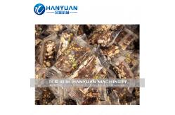 China Dates Bar Production Line supplier