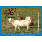 Corrosion Resistance Welded Wire Livestock Panels With ISO9001 / 2008 Certificate for sale