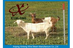China Commercial Galvanized Field Fence For Live Stock Easy Maintenance  supplier
