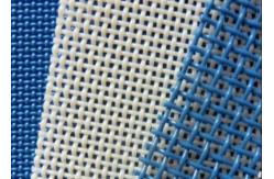 China 2mm 4mm Hole Size Polyester Mesh Conveyor Belt Plain Weave supplier