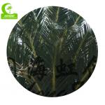 Anti UV Artificial Tropical Tree