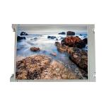 TX39D85VC1AAA 15.4 inch 1280*800 LCD Screen Panel Display for sale