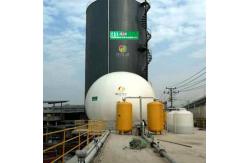 China Bio Digester Biogas Production Project Bio Gas Plant Installation supplier