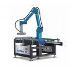 Transform Packaging Efficiency Advanced Robotics Automation Integration with Robot Carton Packer for sale