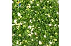 China Scallion Garlic Sprouts Vegetable Processing Machine Rapeseed Stainless Steel supplier