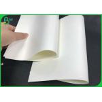 15g + 235g +15g Double Side PE Coated Snow Cone Cup Paper 500mm Roll For Paper Cup for sale