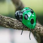 Outdoor Metal Ladybug Yard Art Animal Metal Garden Wall Decor for sale