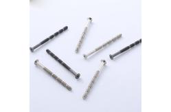 China Bamboo Shaped Machine Roofing Bolt Screw Zinc Connecting Screw Snap Break Off Screw supplier