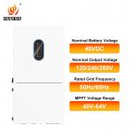 10kW AC Output Solar Inverter 15000W PV Input NEMA 3R 48V System