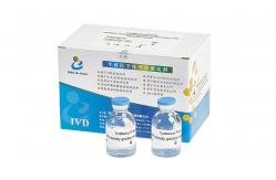 China Sterilized 1 EU/Ml Sperm Preparation Media 100ml/Kit Density Gradient Media supplier