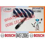 Common Rail Fuel Injector Diesel Injectors 04290988 0986435559 0445120065