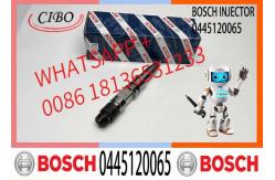 China Common Rail Fuel Injector Diesel Injectors 04290988 0986435559 0445120065 supplier