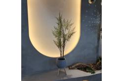 China Ultra Realistic Artificial Fern Tree - Lush Green UV Resistant Low Maintenance supplier