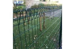 China 50*150mm Double Loop Wire Garden Welded Mesh Fencing Electro Galvanizing supplier