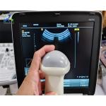 Samsung EVN4-8 Ultrasound Probe Repair Transducer Lens Replacement for sale