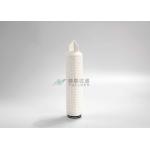 100% Integrity Test Pharmaceutical Filters PES Membrane Pleated Filters for sale