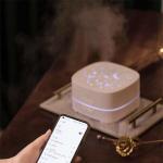HOMEFISH Bluetooth Music LED Light Essential Oil Diffusers Aroma Diffuser Humidifier 500ML