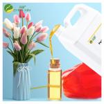 Long Lasting Original Oil Perfume Floral Perfume Oil Used For Making Perfumer Oil for sale
