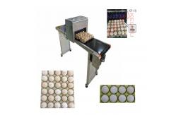 China Convenient Transportation Egg Batch Number Printing Machine For Green Food Logo supplier
