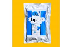 China Food Baking Lipase Powder Customized Lipase Enzyme Powder Soluble In Water supplier