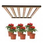 3x3 Dimmable Lm301b Lm301h LED Grow Light For Indoor Medicinal Plants
