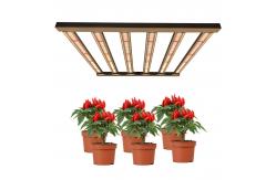China 3x3 Dimmable Lm301b Lm301h LED Grow Light For Indoor Medicinal Plants supplier