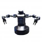 Supplier Artificial Intelligence Bipedal General Purpose Wheeled Robot AI Human Commercial AI Humanoid Robots for sale