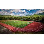 Rubber Elastic Layer Runway Prefabricated Synthetic Rubber Running Track Environment for sale