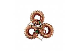 China High Frequency Toroidal Choke Power Coil Inductor supplier