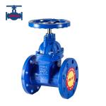 Resilient Seated Flanged Gate Valve Non Rising Stem Ductile Iron Gate Valve With Soft Seal for sale