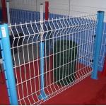 3mm 4mm 4.5mm Garden 3D Wire Mesh Fence Panel With Peach Posts