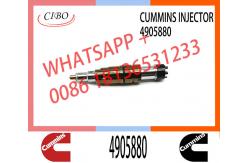 China Diesel Fuel Injectors 2872544 2031835 2030519 4905880 For Cummins supplier