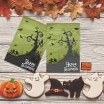 Imaginative Greeting Cards For Personal Messages Envelopes Included for sale