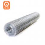 Galvanized Welded Wire Mesh For Garden Fence Pvc Coated for sale