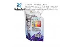 China Convenient Bag Laundry Detergent Spout Pouch Liquid Hand Soap Refill Pouch supplier