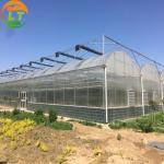 Single Layer Greenhouse Inside Shading System and Plastic Film for Growing Vegetable Seeds for sale