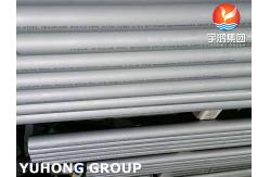 China ASTM A312 TP310S Stainless Steel Seamless Pipe Pickled And PMI Test supplier