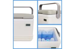 China 5L / 8L Cooler Ice Box Outdoor Camping Cool Box Multi Function supplier