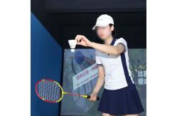 China Large Digital Sports Hall Badminton Baseball Projection Simulator Decompression supplier