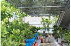 China 0.4m Wide 50% Plastic Weed Barrier 300gsm Sun Mesh Sunblock Shade Cloth supplier